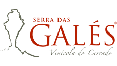 Vinícola Serra das Galés - TDH Websites